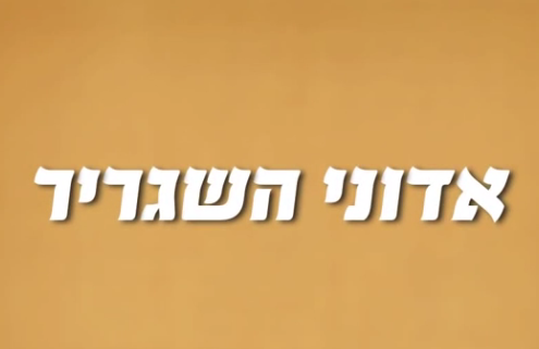 אדוני השגריר